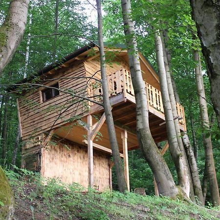 Treehouse Velke Losiny Exterior photo
