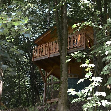 Treehouse Velke Losiny Exterior photo