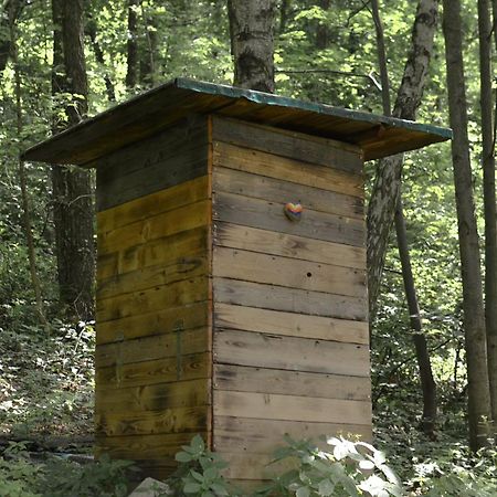 Treehouse Velke Losiny Exterior photo