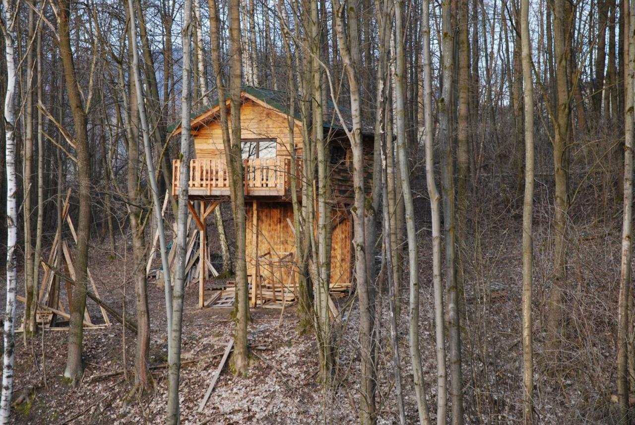 Treehouse Velke Losiny Exterior photo
