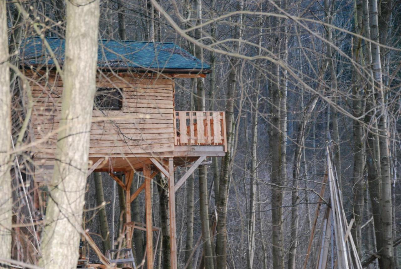 Treehouse Velke Losiny Exterior photo