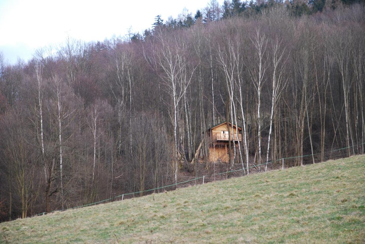 Treehouse Velke Losiny Exterior photo