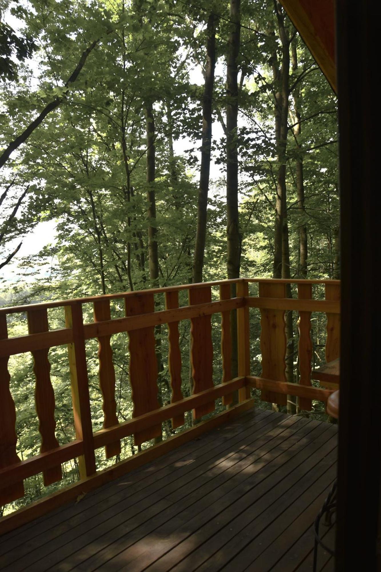 Treehouse Velke Losiny Exterior photo