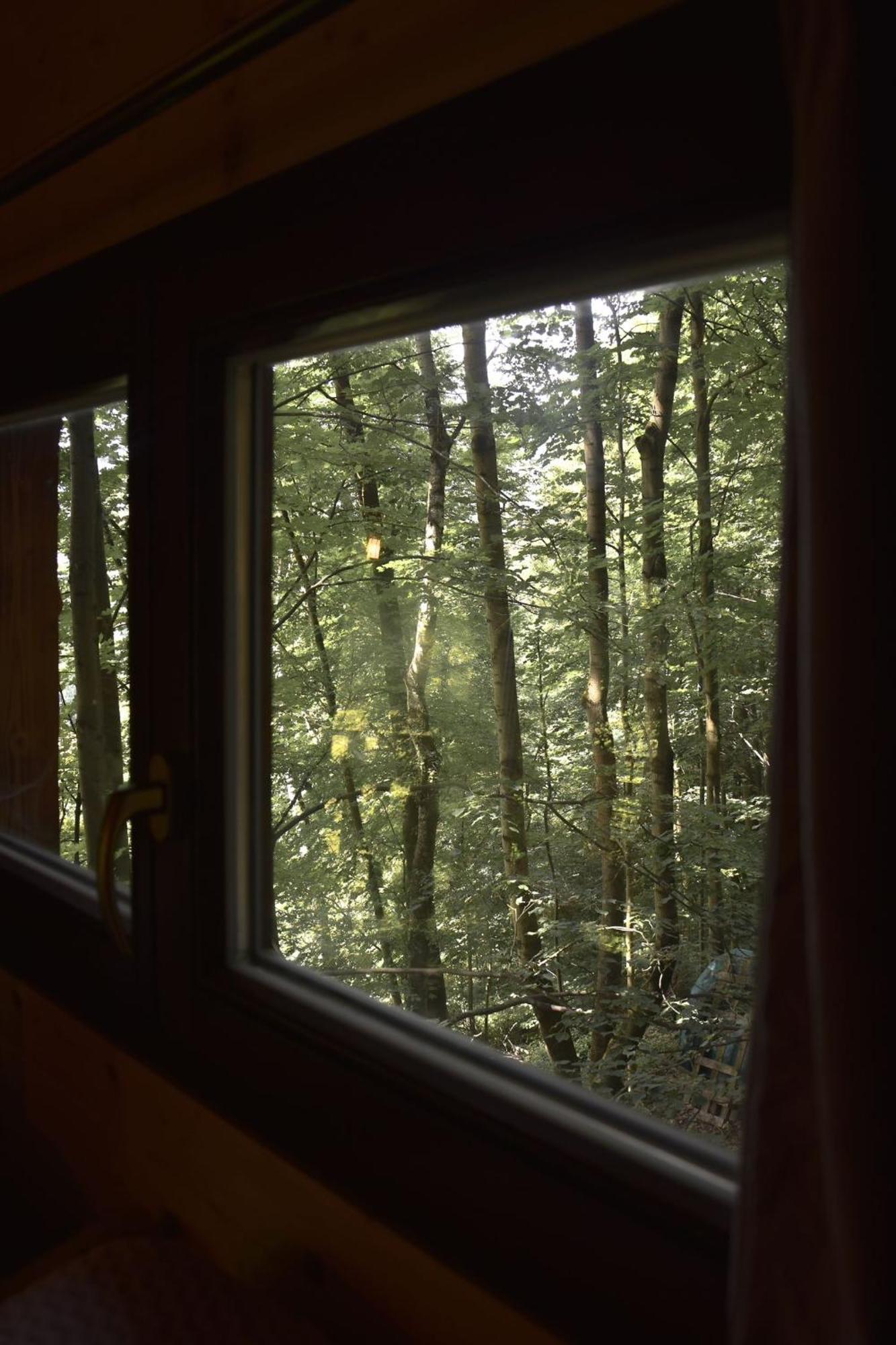 Treehouse Velke Losiny Exterior photo